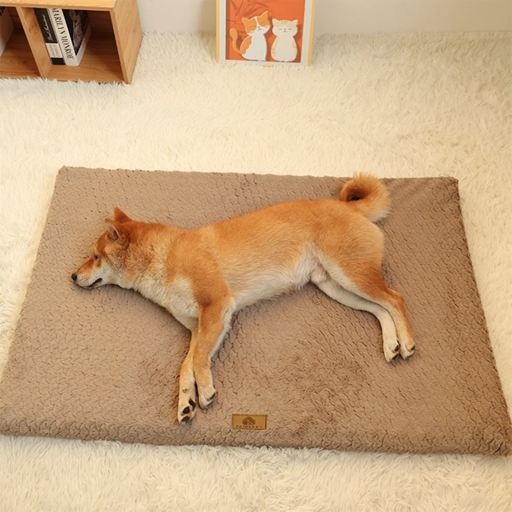 Foam Pet Bed with Removable Washable Faux Fur