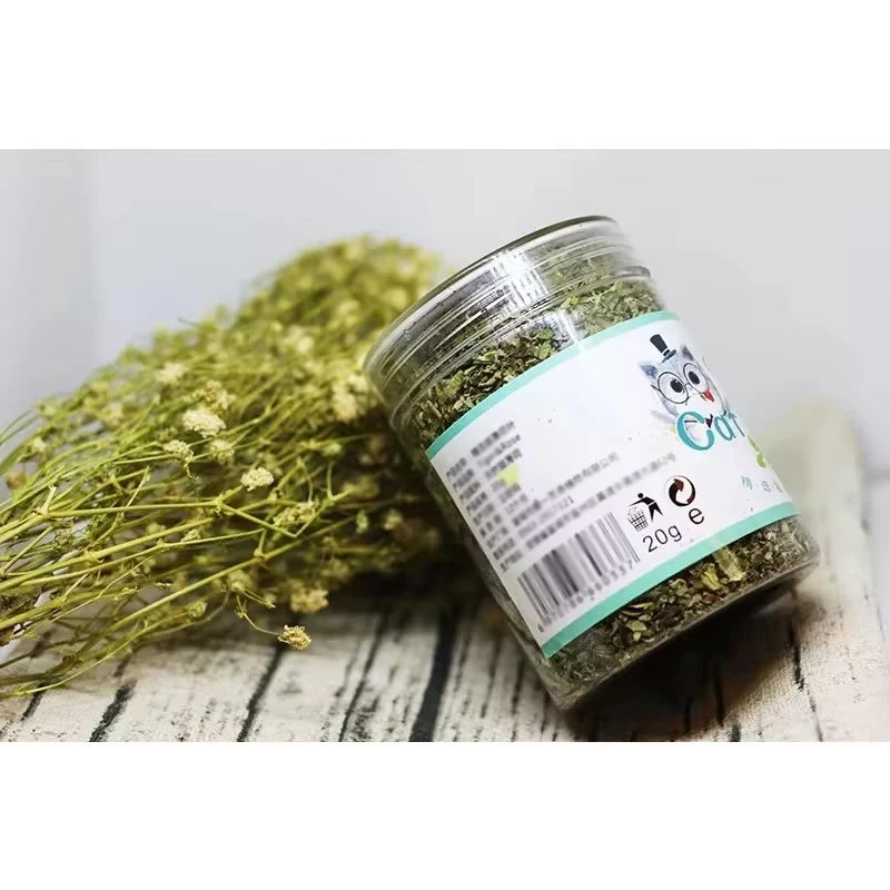 Natural Mint Catnip for Cats
