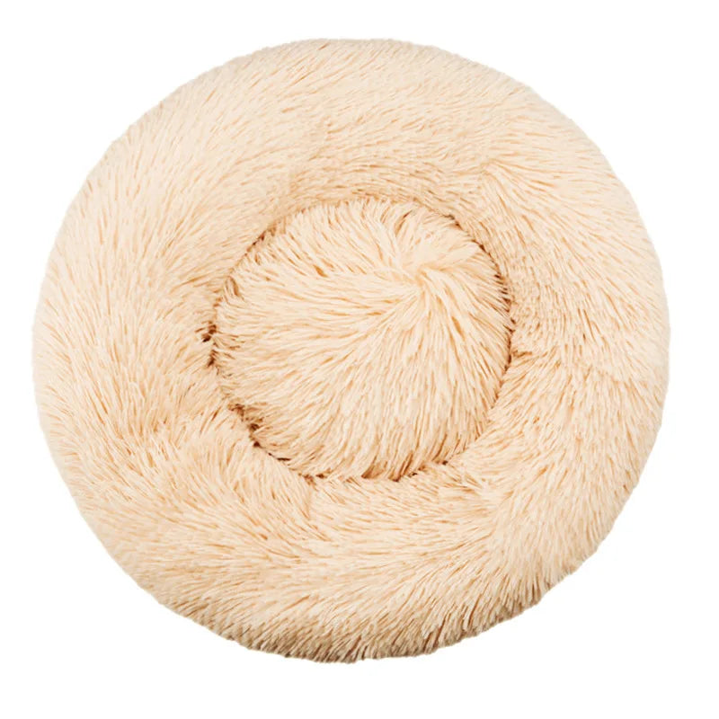 Pet Beds