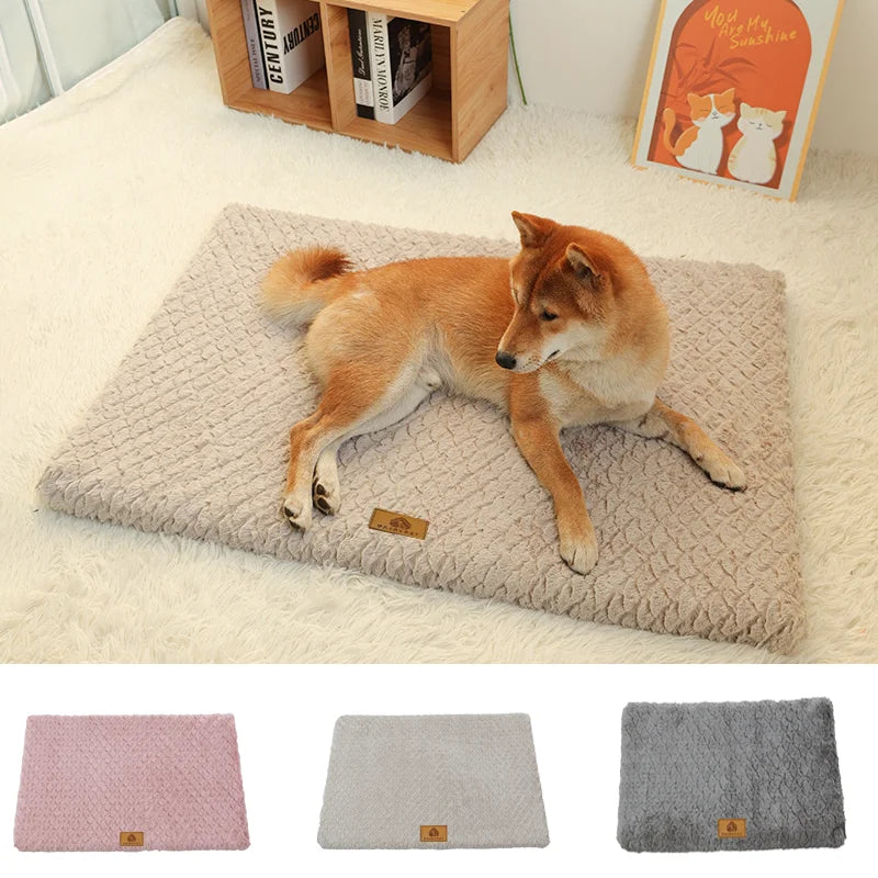 Foam Pet Bed with Removable Washable Faux Fur
