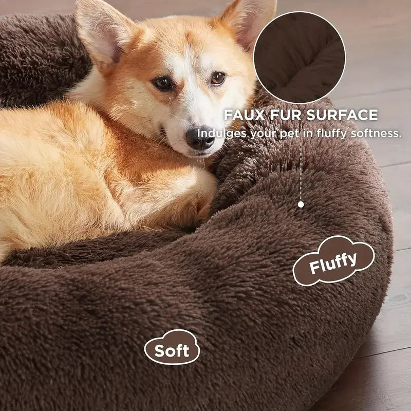 Pet Beds