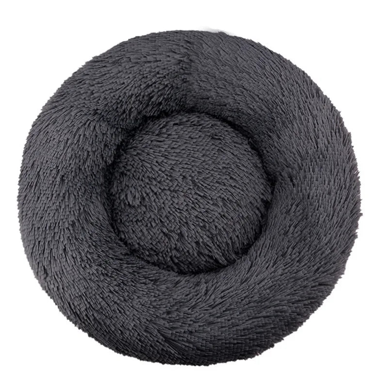 Pet Beds