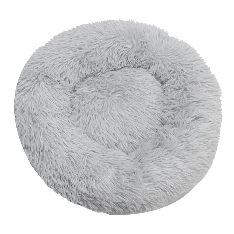 Pet Beds