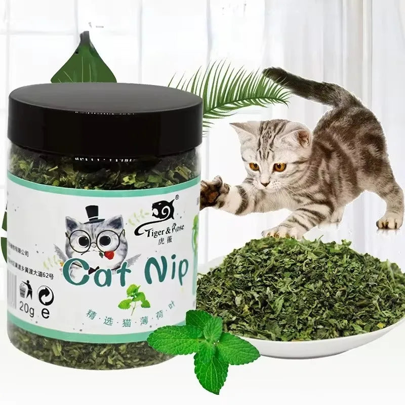 Natural Mint Catnip for Cats