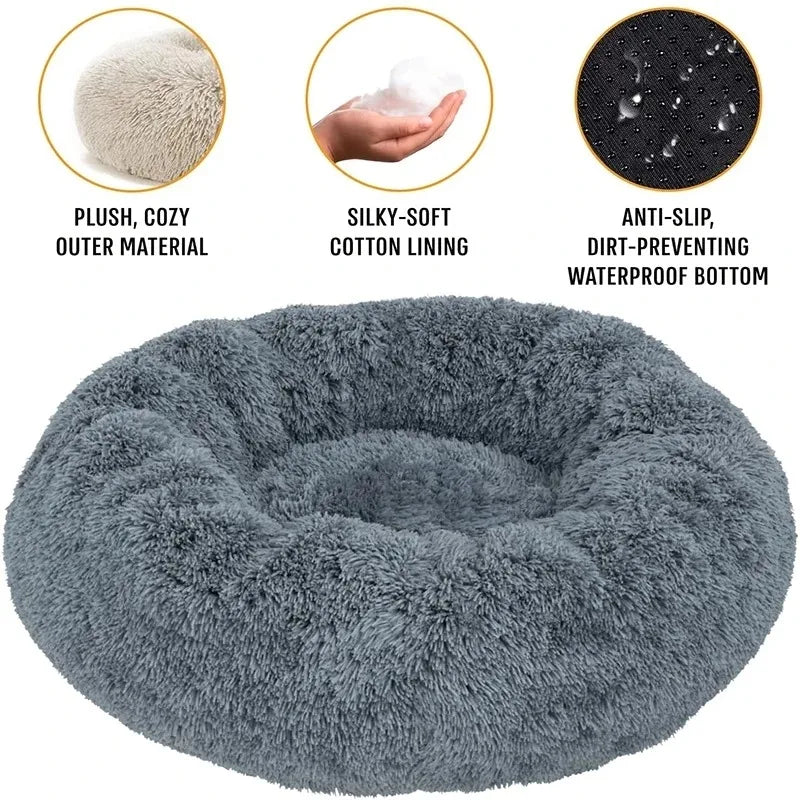 Pet Beds