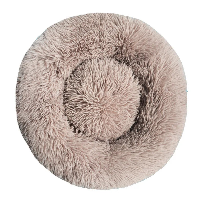Pet Beds