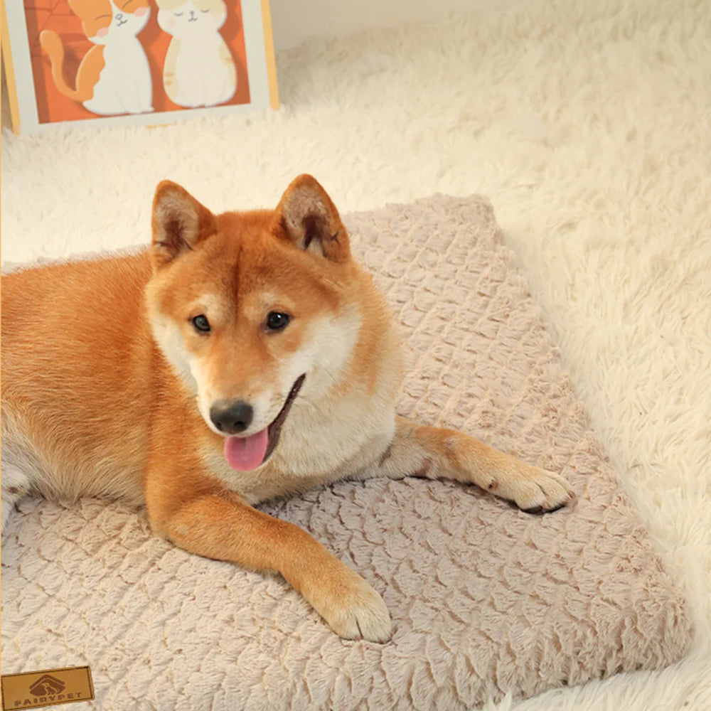 Foam Pet Bed with Removable Washable Faux Fur