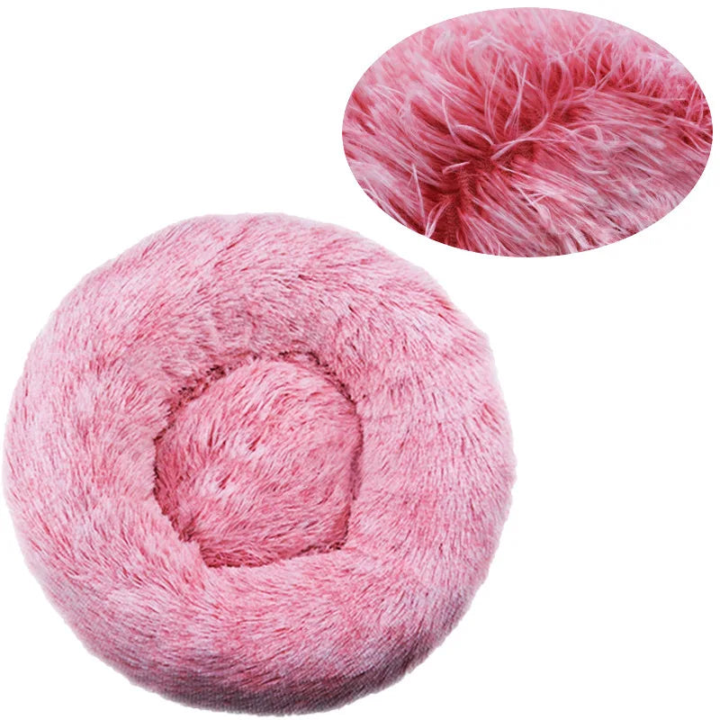 Pet Beds