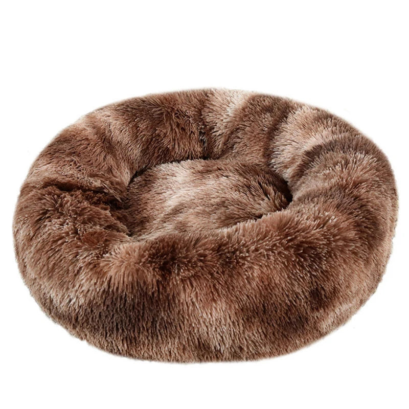 Pet Beds