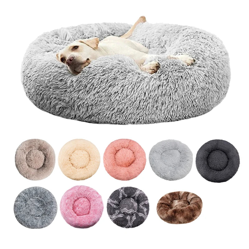 Pet Beds