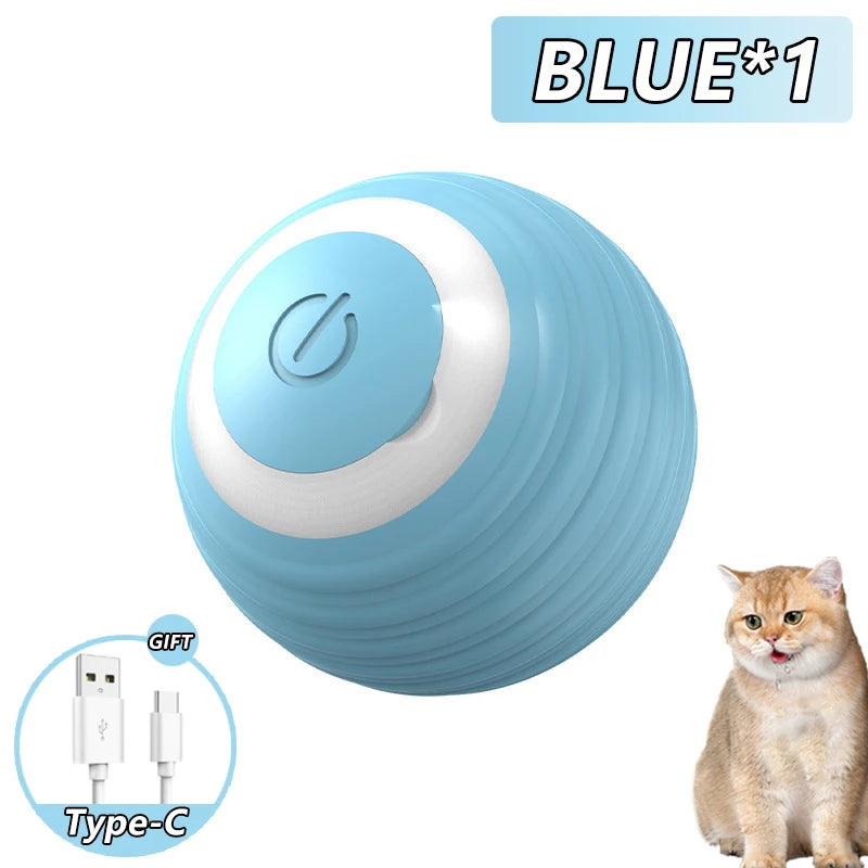 Cat Interactive Ball Toy