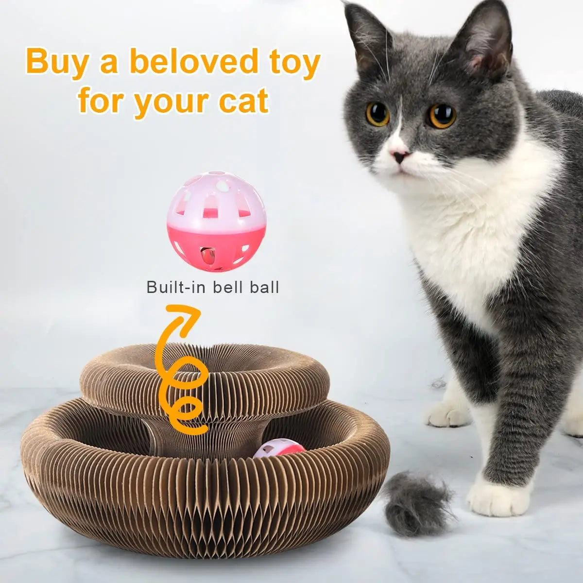 Magic Cat Scratch Organ
