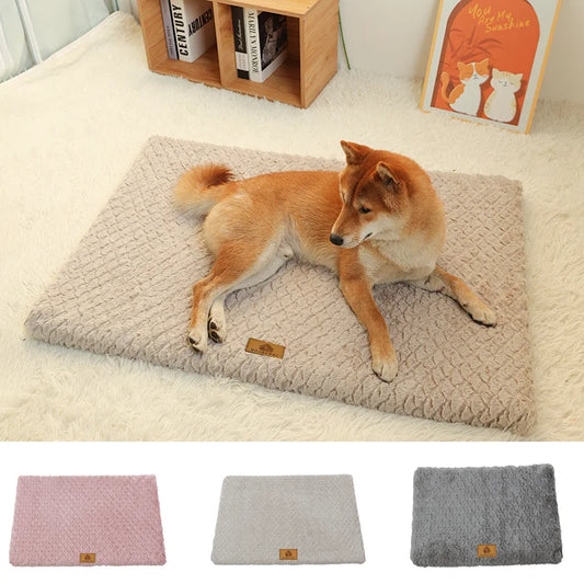 Foam Pet Bed with Removable Washable Faux Fur