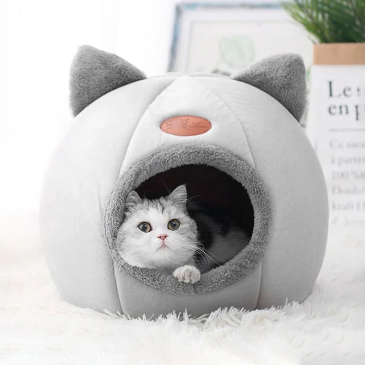 Comfortable pet House