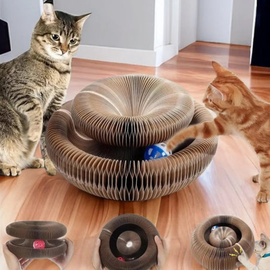 Magic Cat Scratch Organ