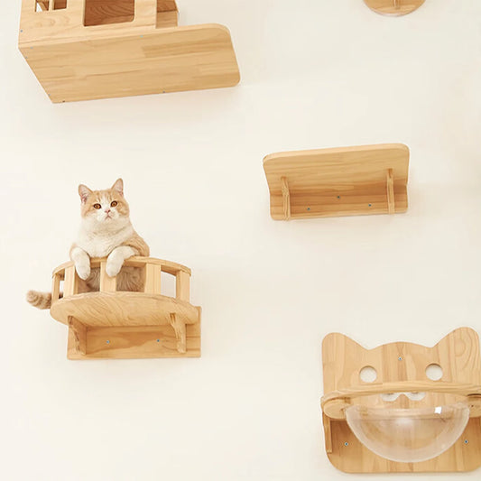 Wall Mounted Cat Shelves