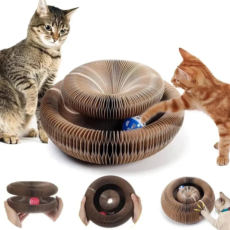 Magic Cat Scratch Organ