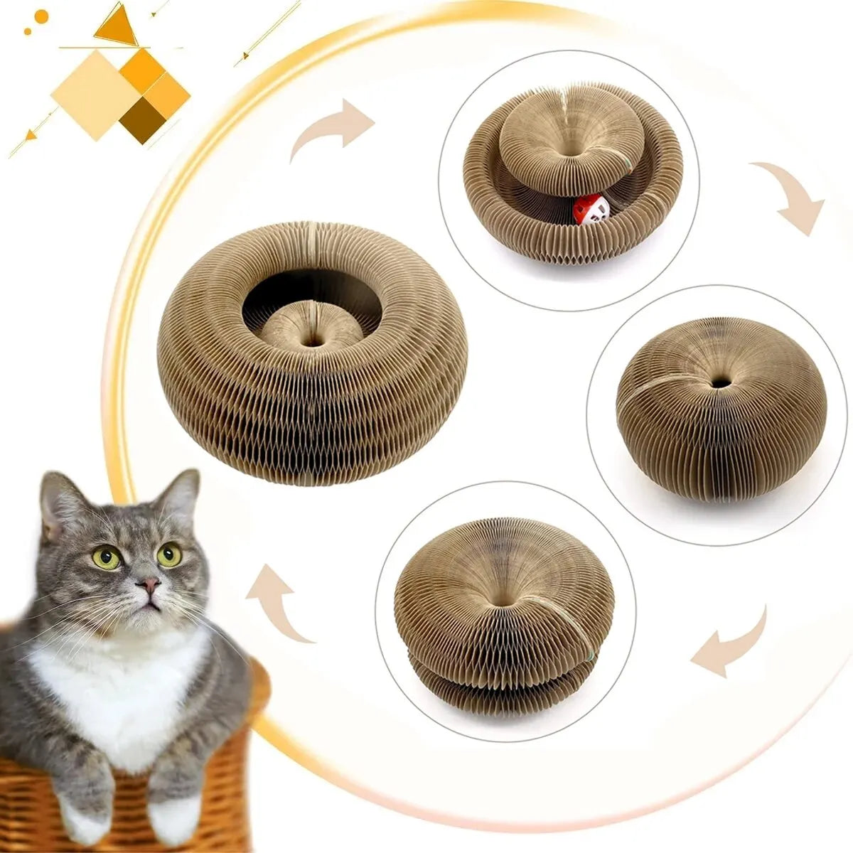 Magic Cat Scratch Organ